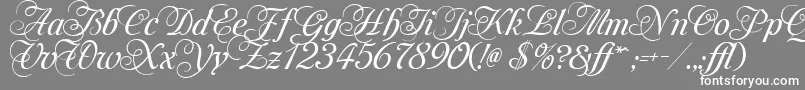 Шрифт MonAmourTwoMedium – белые шрифты на сером фоне