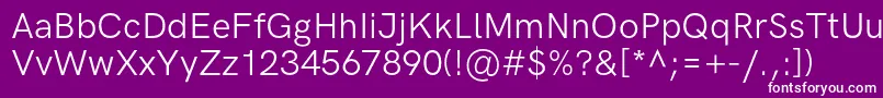 HkgroteskRegularlegacy Font – White Fonts on Purple Background