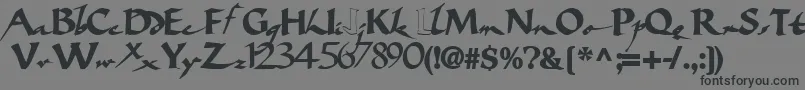 Bigbrushfont19Bold Font – Black Fonts on Gray Background