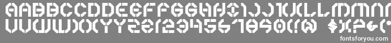 フォントYear3000Bold – 灰色の背景に白い文字