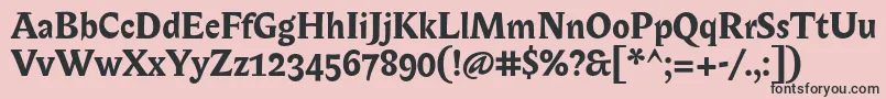 BiblonOtBold Font – Black Fonts on Pink Background