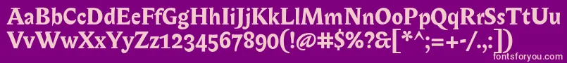 BiblonOtBold Font – Pink Fonts on Purple Background
