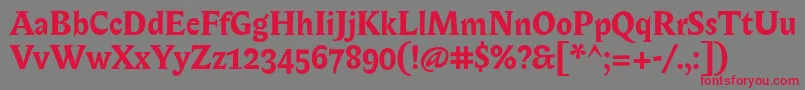 BiblonOtBold Font – Red Fonts on Gray Background