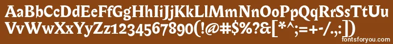 BiblonOtBold Font – White Fonts on Brown Background