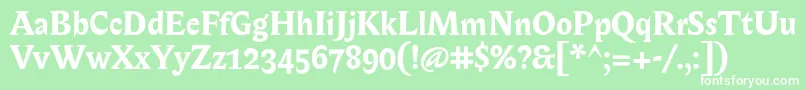 BiblonOtBold Font – White Fonts on Green Background