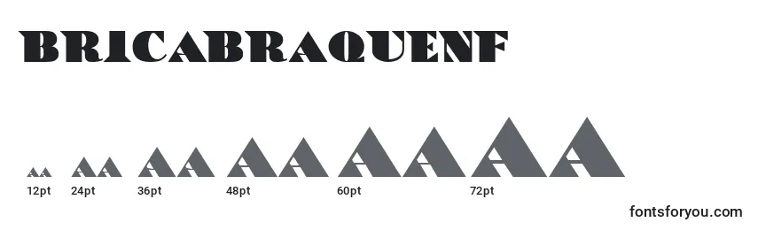 Размеры шрифта BricABraqueNf