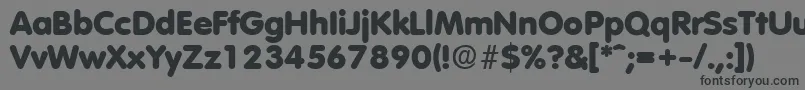 フォントVolkswagenExtrabold – 黒い文字の灰色の背景