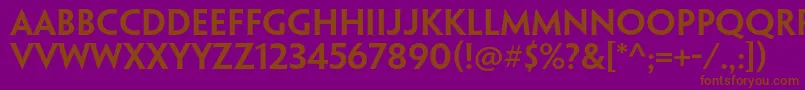 PenumbraflarestdSemibold Font – Brown Fonts on Purple Background