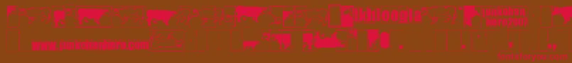 Ikhiooglacow Font – Red Fonts on Brown Background