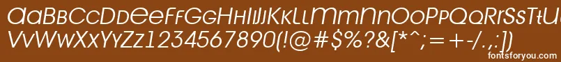 フォントAvant28 – 茶色の背景に白い文字