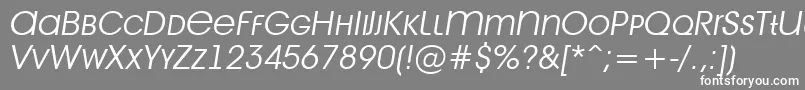 Avant28 Font – White Fonts on Gray Background