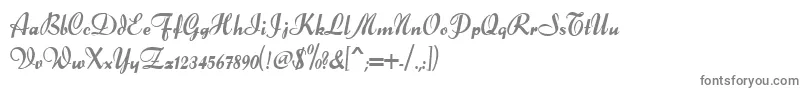 フォントDsforelle – 白い背景に灰色の文字