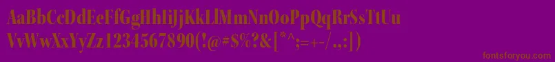 KeplerstdBlackcndisp-Schriftart – Braune Schriften auf violettem Hintergrund