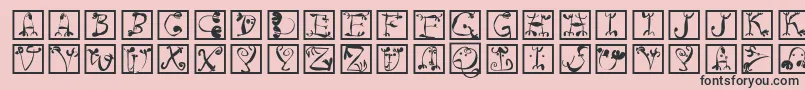 Circusboldsquares Font – Black Fonts on Pink Background
