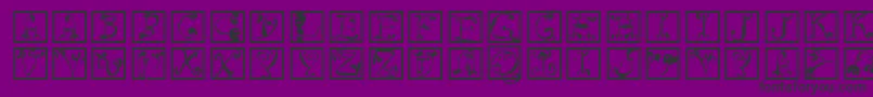 Circusboldsquares Font – Black Fonts on Purple Background