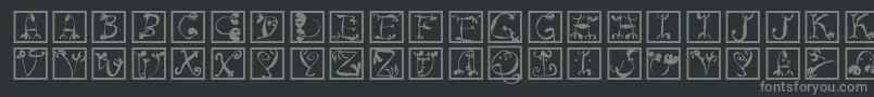 Circusboldsquares Font – Gray Fonts on Black Background