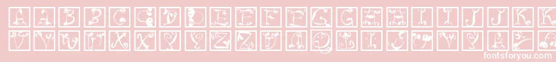 Circusboldsquares Font – White Fonts on Pink Background