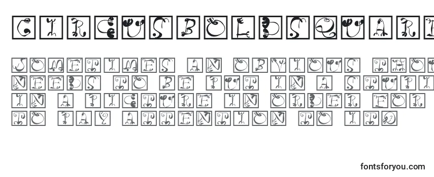 Review of the Circusboldsquares Font