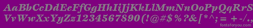 ItcEspritLtBlackItalic Font – Gray Fonts on Purple Background