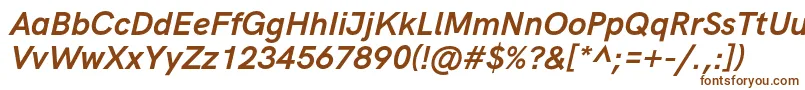 HkgroteskBolditalic Font – Brown Fonts