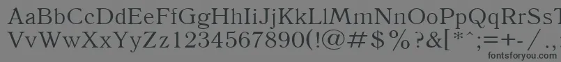 Antiqua110n Font – Black Fonts on Gray Background