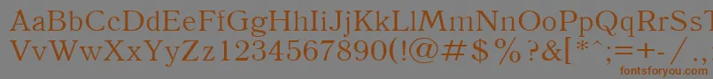 フォントAntiqua110n – 茶色の文字が灰色の背景にあります。