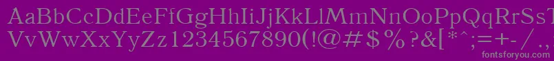 フォントAntiqua110n – 紫の背景に灰色の文字