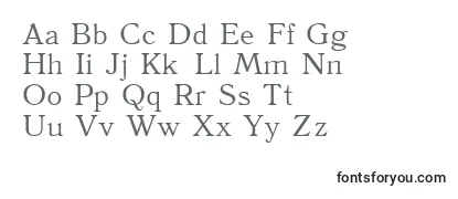 Review of the Antiqua110n Font