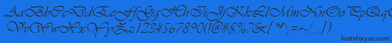 VivaldiРљСѓСЂСЃРёРІ Font – Black Fonts on Blue Background