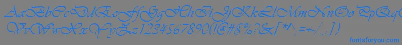 VivaldiРљСѓСЂСЃРёРІ Font – Blue Fonts on Gray Background