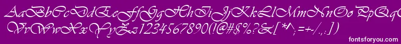 VivaldiРљСѓСЂСЃРёРІ Font – White Fonts on Purple Background