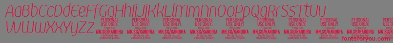 KandiraXligitPersonalUse Font – Red Fonts on Gray Background