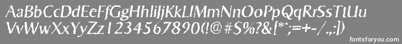 フォントSigvarrandomItalic – 灰色の背景に白い文字