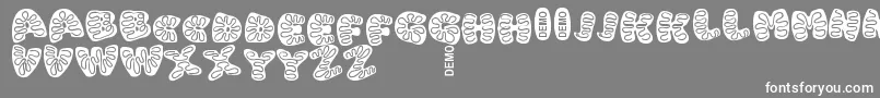 フォントIcingCookiesDemo – 灰色の背景に白い文字