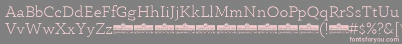 AnaphoraLightTrial Font – Pink Fonts on Gray Background