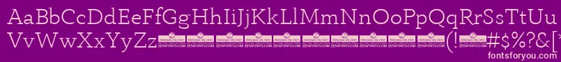AnaphoraLightTrial Font – Pink Fonts on Purple Background