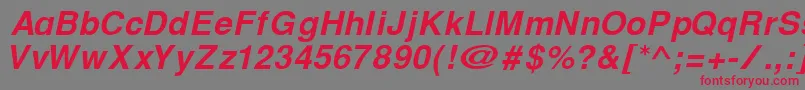 CyrillichelvetBolditalic Font – Red Fonts on Gray Background