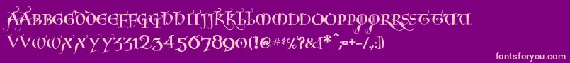 Noelblack Font – Pink Fonts on Purple Background