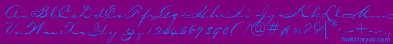 OceansideRegularDb Font – Blue Fonts on Purple Background