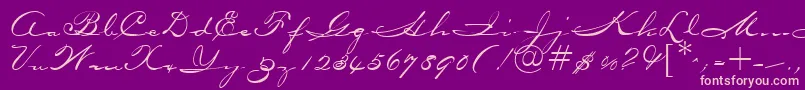 OceansideRegularDb Font – Pink Fonts on Purple Background