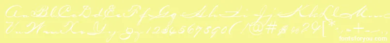 OceansideRegularDb Font – White Fonts on Yellow Background