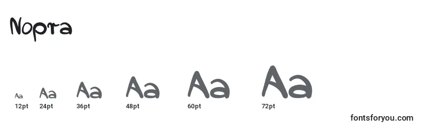 Nopra (113233) Font Sizes