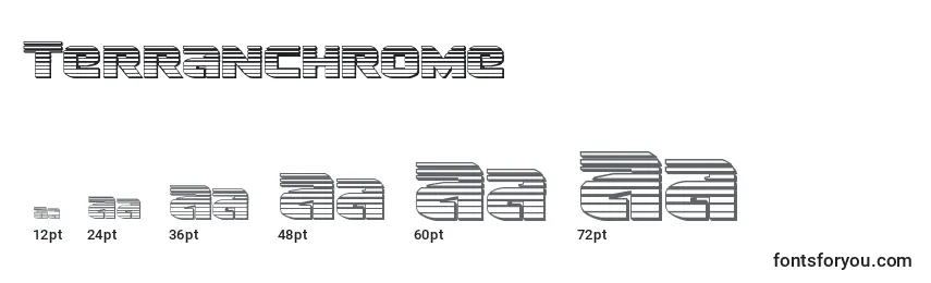 Размеры шрифта Terranchrome