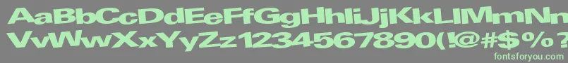 AtRegularTtnorm Font – Green Fonts on Gray Background
