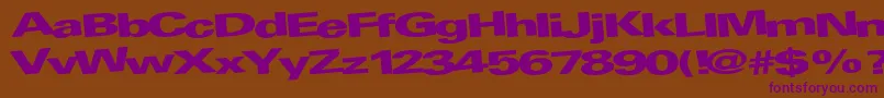 AtRegularTtnorm Font – Purple Fonts on Brown Background