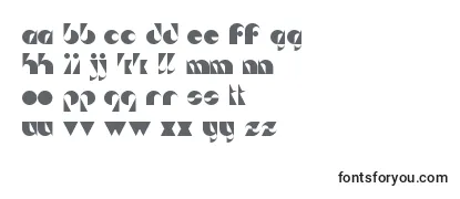Обзор шрифта DaSeiNei
