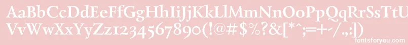 LazurantiqdisplaycBold Font – White Fonts on Pink Background