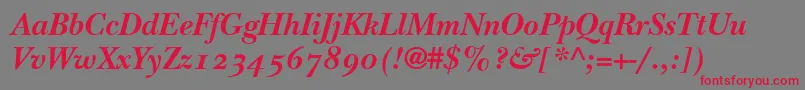 ItcNewBaskervilleBoldItalicOldStyleFigures Font – Red Fonts on Gray Background