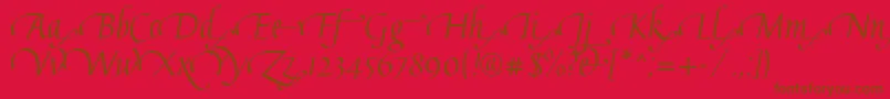 GaiusLtRegularSwashEnd Font – Brown Fonts on Red Background