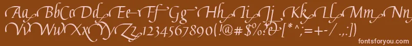 Więcej informacji o czcionce GaiusLtRegularSwashEnd Czcionka GaiusLtRegularSwashEnd – różowe czcionki na brązowym tle